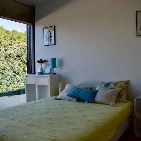 Tatil Evi Bloom - House