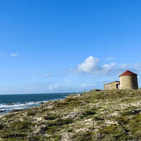 Bloom - House * Apúlia