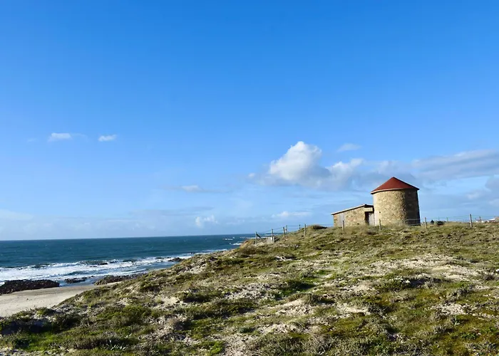 Bloom - House * Apúlia